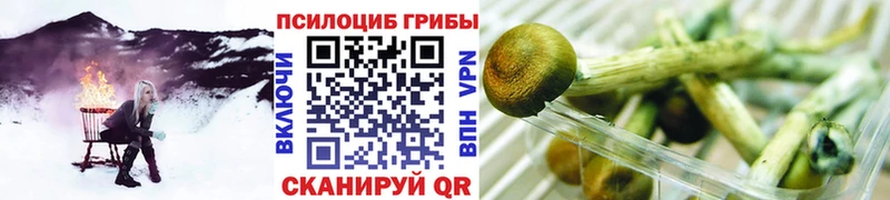 Галлюциногенные грибы Cubensis  купить  цена  Троицк 